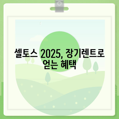 셀토스 2025 장기렌트 비용 대비 효과