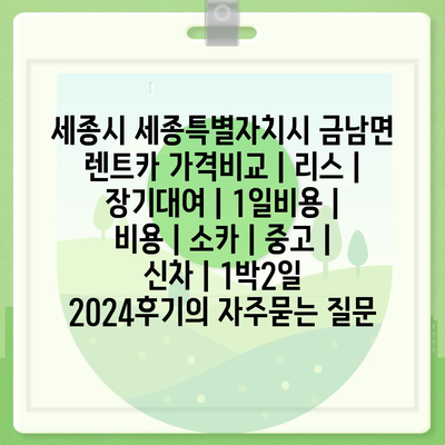 세종시 세종특별자치시 금남면 렌트카 가격비교 | 리스 | 장기대여 | 1일비용 | 비용 | 소카 | 중고 | 신차 | 1박2일 2024후기