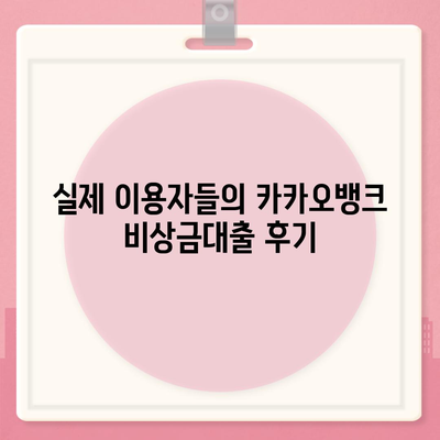 카카오뱅크 비상금대출 후기