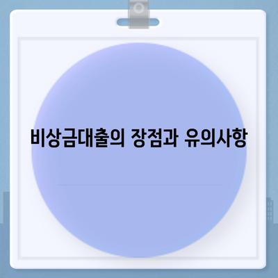 카카오뱅크 비상금대출 신청 안내