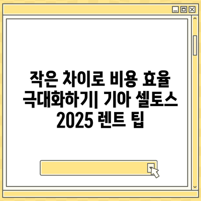 기아 셀토스 2025 장기렌트 비용 효율 극대화