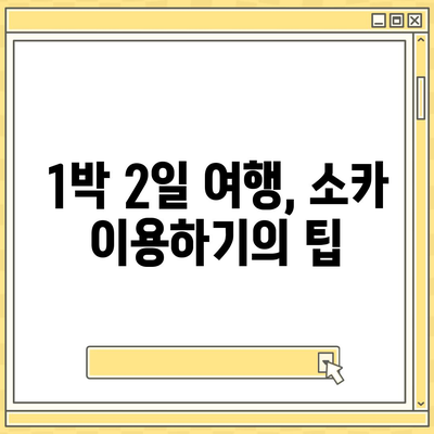 경상북도 경주시 황오동 렌트카 가격비교 | 리스 | 장기대여 | 1일비용 | 비용 | 소카 | 중고 | 신차 | 1박2일 2024후기