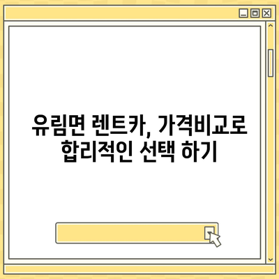 경상남도 함양군 유림면 렌트카 가격비교 | 리스 | 장기대여 | 1일비용 | 비용 | 소카 | 중고 | 신차 | 1박2일 2024후기