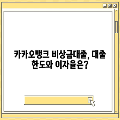 카카오뱅크 비상금대출 신청