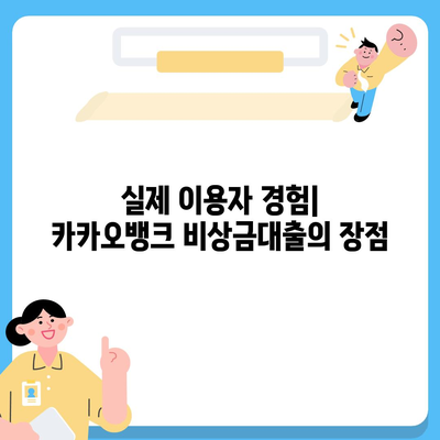 카카오뱅크 비상금대출 후기