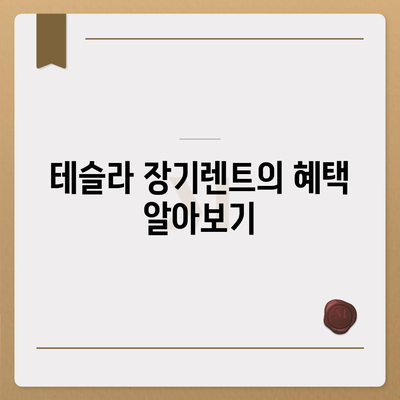 테슬라 장기렌트 | 모든 트림 최저 조건으로