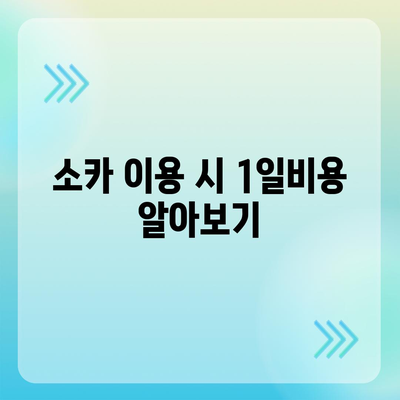 경기도 여주시 점동면 렌트카 가격비교 | 리스 | 장기대여 | 1일비용 | 비용 | 소카 | 중고 | 신차 | 1박2일 2024후기