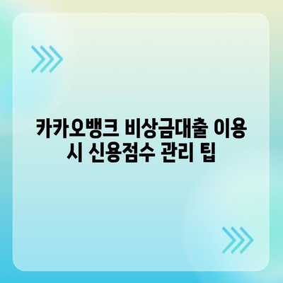 카카오뱅크 비상금대출 신용점수