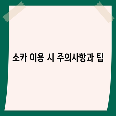 충청북도 보은군 회남면 렌트카 가격비교 | 리스 | 장기대여 | 1일비용 | 비용 | 소카 | 중고 | 신차 | 1박2일 2024후기