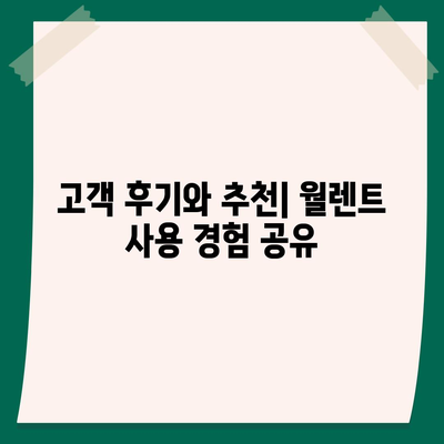 월렌트 | 자동차 1개월 렌트카 상품 완전 가이드