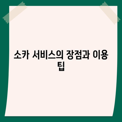 울산시 남구 야음장생포동 렌트카 가격비교 | 리스 | 장기대여 | 1일비용 | 비용 | 소카 | 중고 | 신차 | 1박2일 2024후기