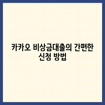 카카오 비상금대출