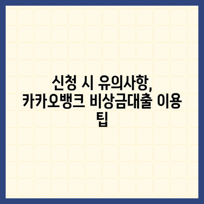 카카오뱅크 비상금대출 신청