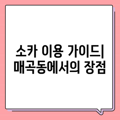 전라남도 순천시 매곡동 렌트카 가격비교 | 리스 | 장기대여 | 1일비용 | 비용 | 소카 | 중고 | 신차 | 1박2일 2024후기