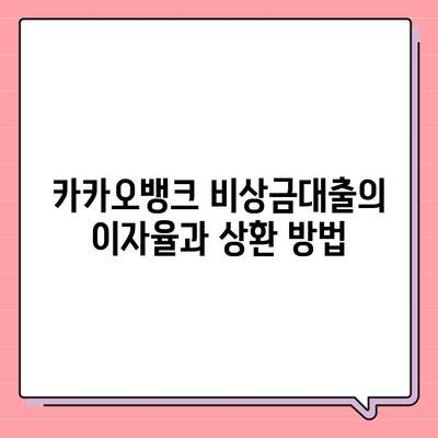 카카오뱅크 비상금대출 후기