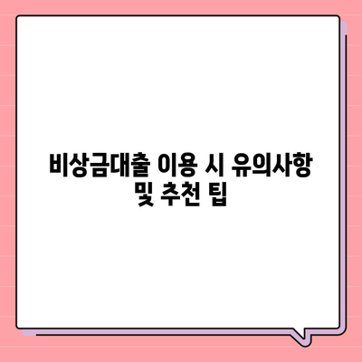 카카오뱅크 비상금대출 후기