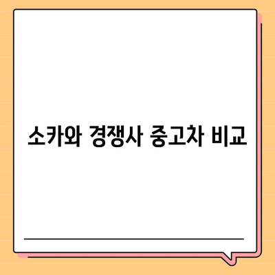 세종시 세종특별자치시 새롬동 렌트카 가격비교 | 리스 | 장기대여 | 1일비용 | 비용 | 소카 | 중고 | 신차 | 1박2일 2024후기