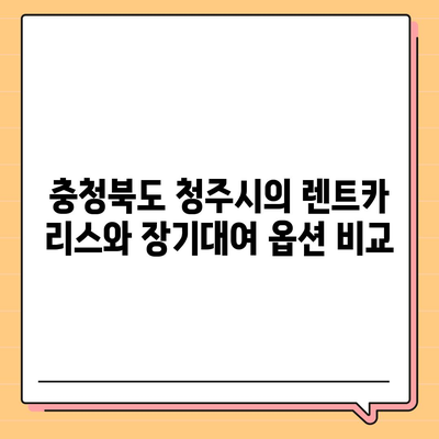 충청북도 청주시 흥덕구 강서제2동 렌트카 가격비교 | 리스 | 장기대여 | 1일비용 | 비용 | 소카 | 중고 | 신차 | 1박2일 2024후기