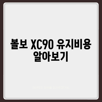 볼보 XC90 가격, 리스, 장기렌트 정보 신속 조회