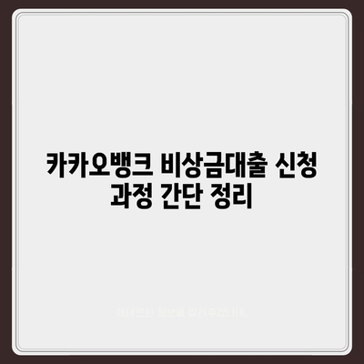 카카오뱅크 비상금대출 후기