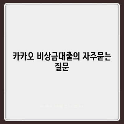 카카오 비상금대출