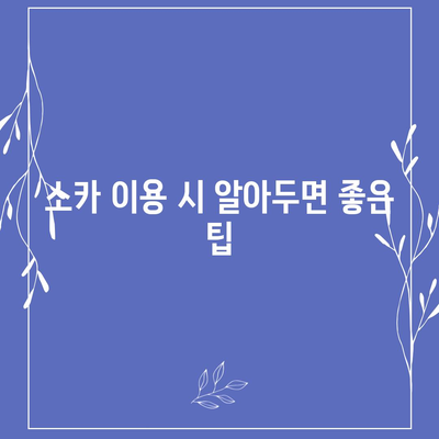 대전시 동구 홍도동 렌트카 가격비교 | 리스 | 장기대여 | 1일비용 | 비용 | 소카 | 중고 | 신차 | 1박2일 2024후기