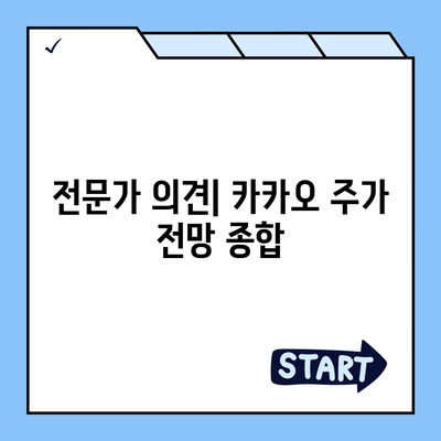 카카오 계열사 매각 정리와 카카오 주가 전망