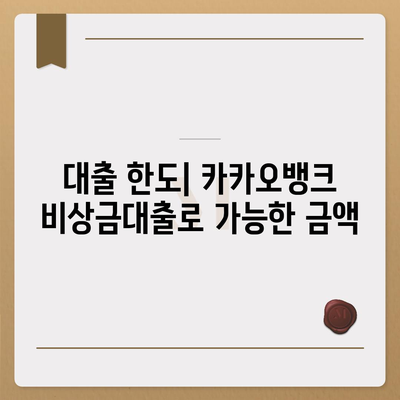 카카오뱅크 비상금대출 후기