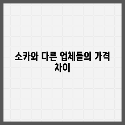 충청남도 홍성군 광천읍 렌트카 가격비교 | 리스 | 장기대여 | 1일비용 | 비용 | 소카 | 중고 | 신차 | 1박2일 2024후기