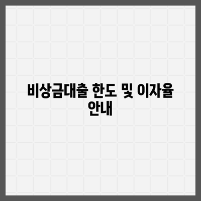 카카오뱅크 비상금대출 신청