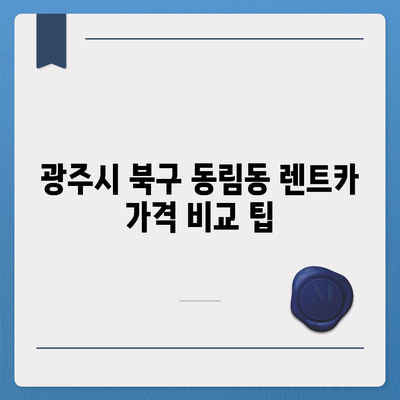 광주시 북구 동림동 렌트카 가격비교 | 리스 | 장기대여 | 1일비용 | 비용 | 소카 | 중고 | 신차 | 1박2일 2024후기