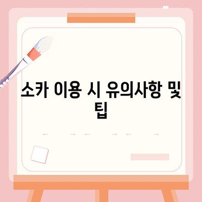 광주시 동구 지산2동 렌트카 가격비교 | 리스 | 장기대여 | 1일비용 | 비용 | 소카 | 중고 | 신차 | 1박2일 2024후기