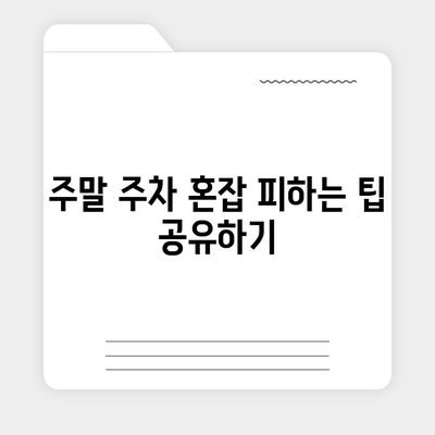 판교 현대백화점 주차 해결 꿀팁 | 카카오 내비와 T