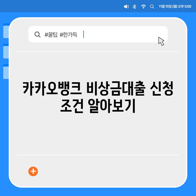 카카오뱅크 비상금대출 방법