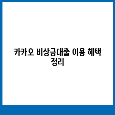 카카오 비상금대출