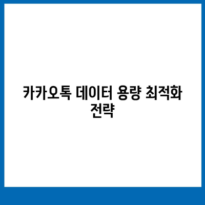 카카오톡 데이터관리