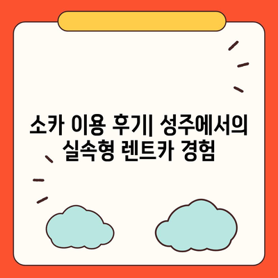 경상북도 성주군 성주읍 렌트카 가격비교 | 리스 | 장기대여 | 1일비용 | 비용 | 소카 | 중고 | 신차 | 1박2일 2024후기