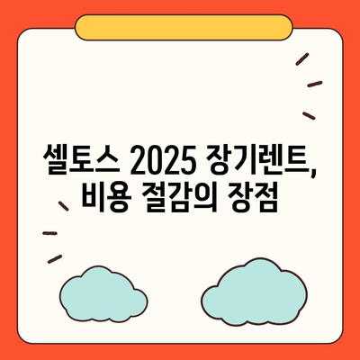 셀토스 2025 장기렌트 비용 대비 효과