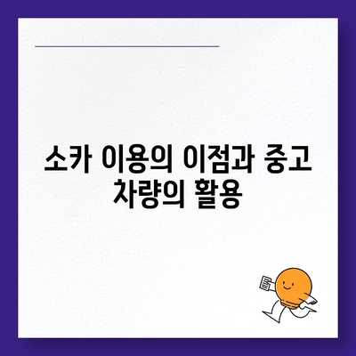 전라남도 진도군 진도읍 렌트카 가격비교 | 리스 | 장기대여 | 1일비용 | 비용 | 소카 | 중고 | 신차 | 1박2일 2024후기