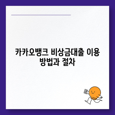 카카오뱅크 pc버전 비상금대출 pc버전 신용점수