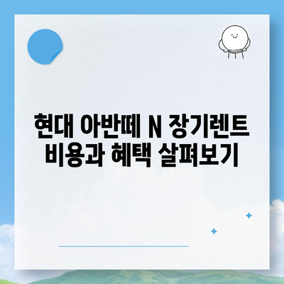 현대 아반떼 N 장기렌트, 모든 궁금증 해결