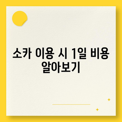 부산시 남구 용호3동 렌트카 가격비교 | 리스 | 장기대여 | 1일비용 | 비용 | 소카 | 중고 | 신차 | 1박2일 2024후기