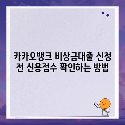 카카오뱅크 비상금대출 신용점수