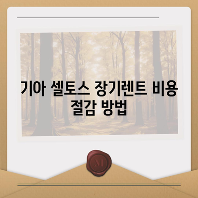 기아 셀토스 2025 장기렌트에서 가성비 챙기는 꿀팁