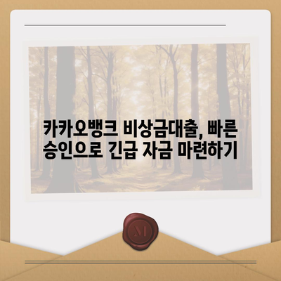 카카오뱅크 비상금대출 신청