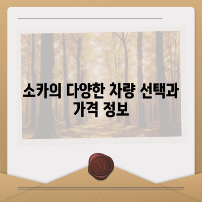 광주시 북구 석곡동 렌트카 가격비교 | 리스 | 장기대여 | 1일비용 | 비용 | 소카 | 중고 | 신차 | 1박2일 2024후기