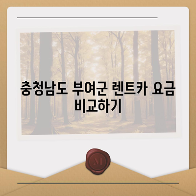 충청남도 부여군 규암면 렌트카 가격비교 | 리스 | 장기대여 | 1일비용 | 비용 | 소카 | 중고 | 신차 | 1박2일 2024후기