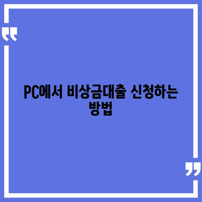 카카오뱅크 pc버전 비상금대출신청