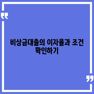 카카오뱅크 pc버전 비상금대출 pc버전 신청