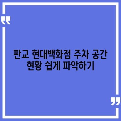 판교 현대백화점 주차 꿀팁 | 카카오 네비, T